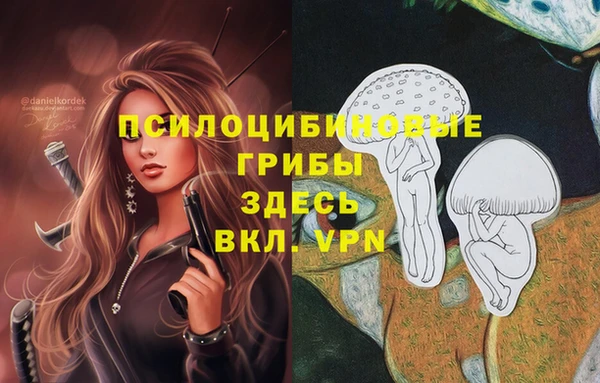 Альфа ПВП Волосово